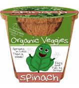 DuneCraft Organic Veggie Pots - Spinach 