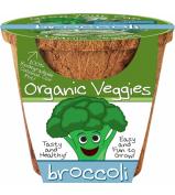 DuneCraft Organic Veggie Pots - Broccoli