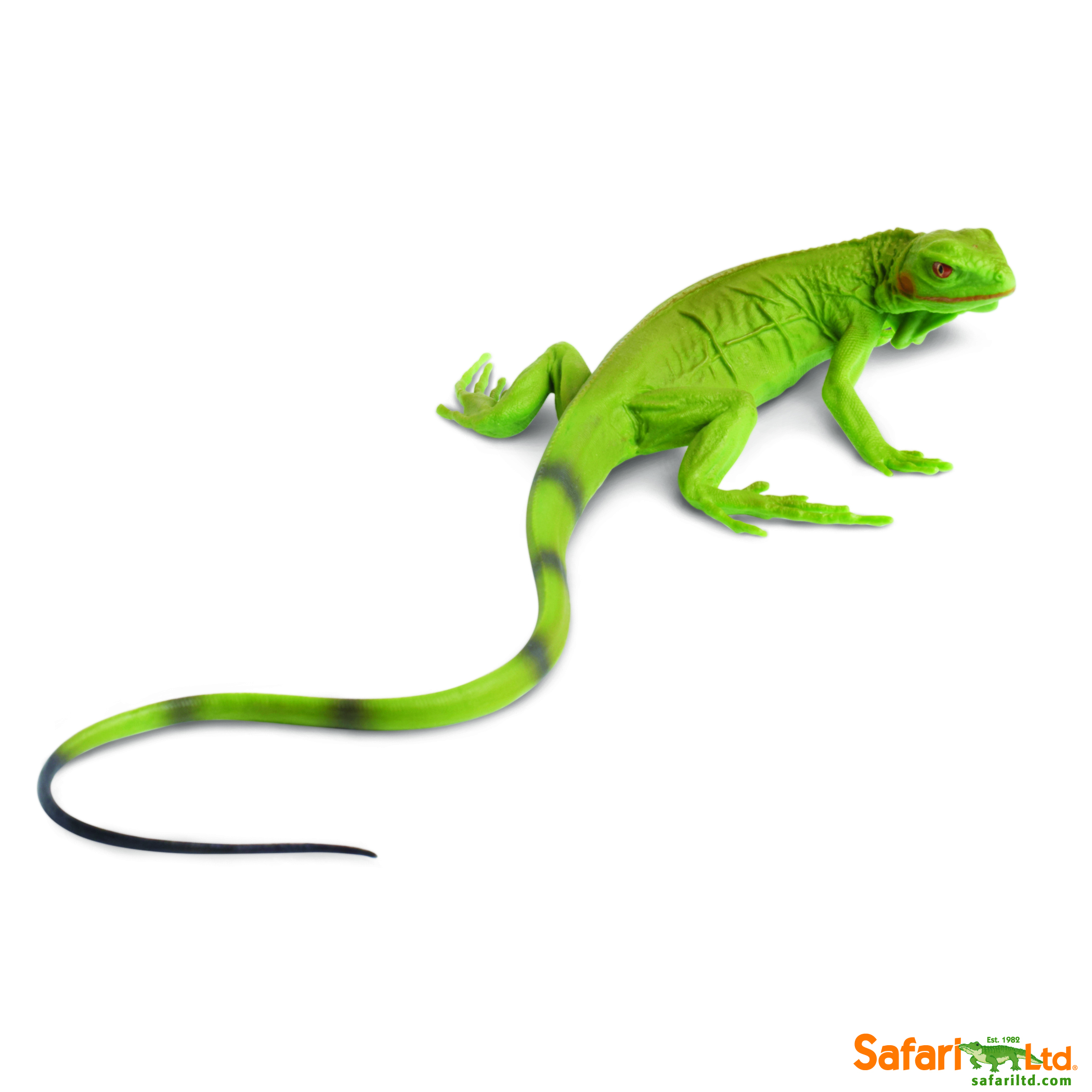 Education Essentials - Safari Ltd Iguana Baby