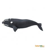 Safari Ltd Right Whale