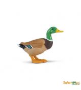 Safari Ltd Duck