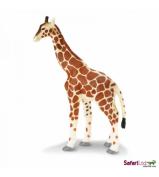 Safari Ltd Giraffe