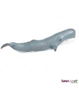 Safari Ltd Sperm Whale Adult 