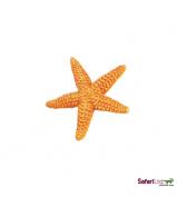 Safari Ltd Starfish